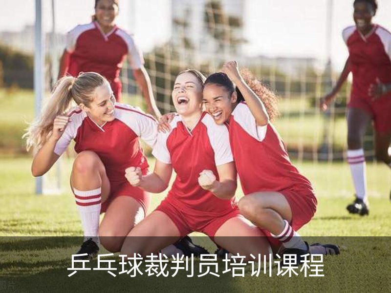 乒乓球裁判员培训课程简介